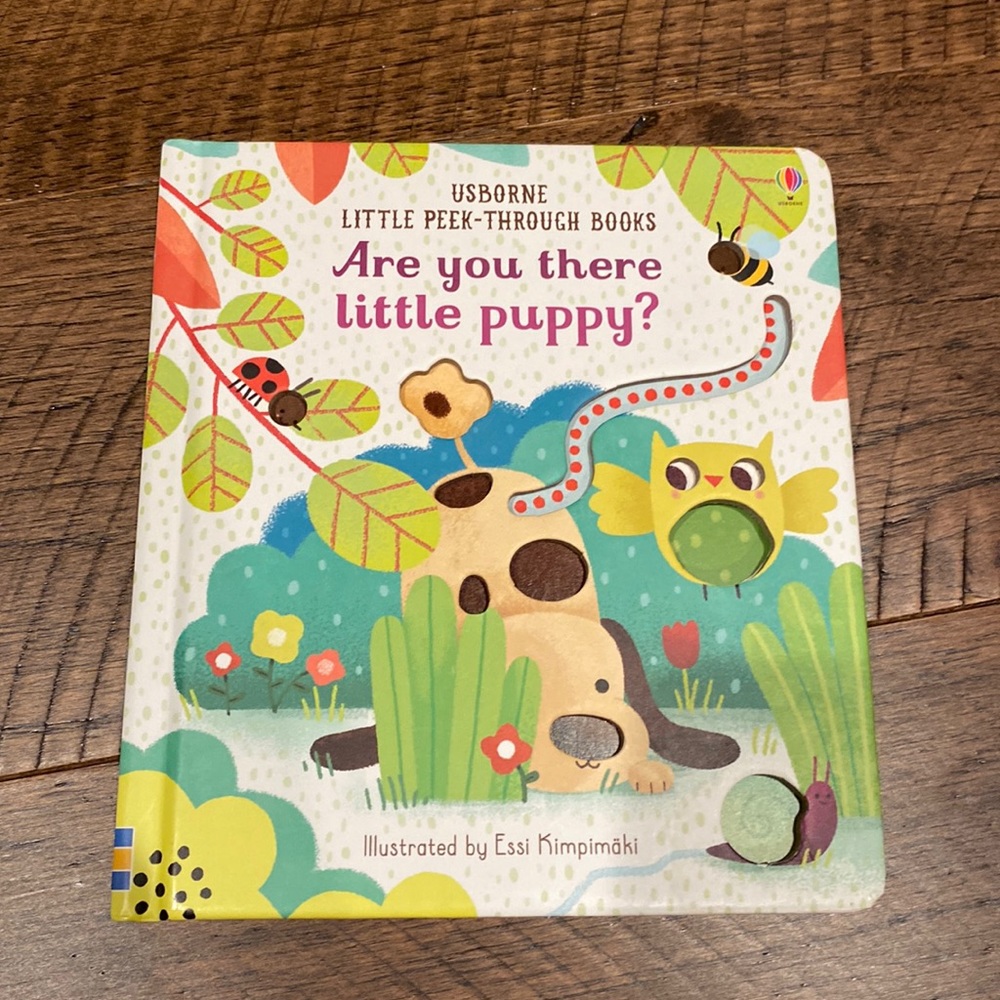 Usborne Are you there little puppy Book